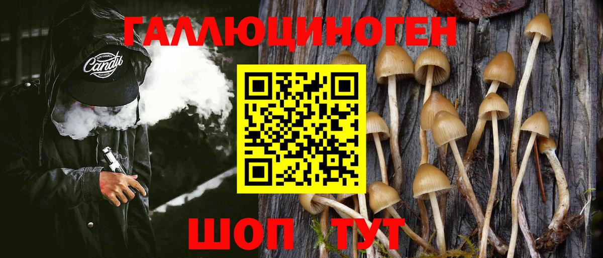 Галлюциногенные грибы Magic Shrooms  Вход с VPN  Светлоград 