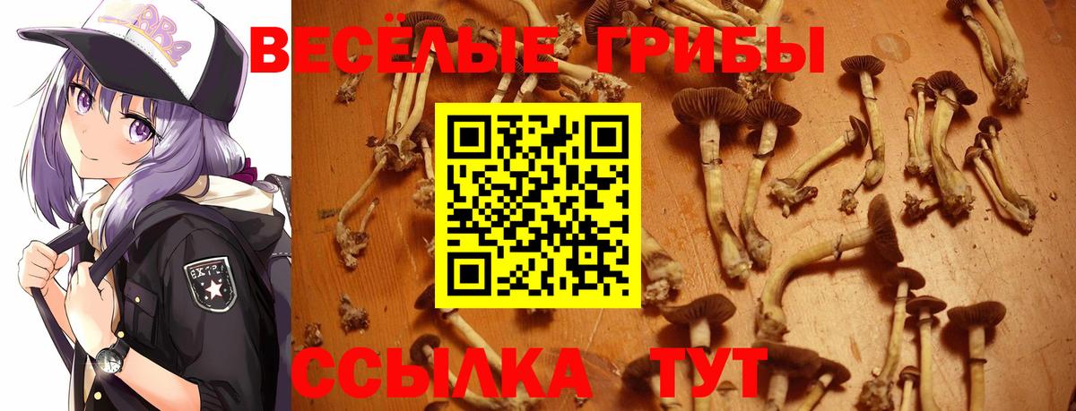 Галлюциногенные грибы мухоморы Светлоград